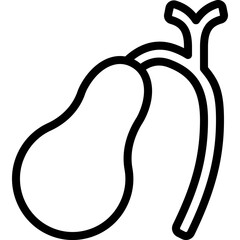 Gallbladder Icon