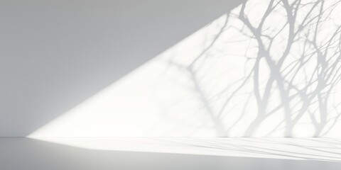 Empty, blank white room background with soft sunlight tree branches shadow, product or design placement template, Generative AI