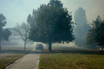 tree devoured by flames Fires in Italy Brasil Spain Hawaii Louisiana Greece. Sardinia Climate...