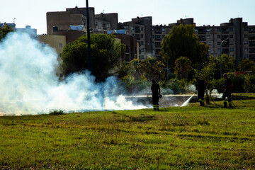tree devoured by flames Fires in Italy Brasil Spain Hawaii Louisiana Greece. Sardinia Climate...