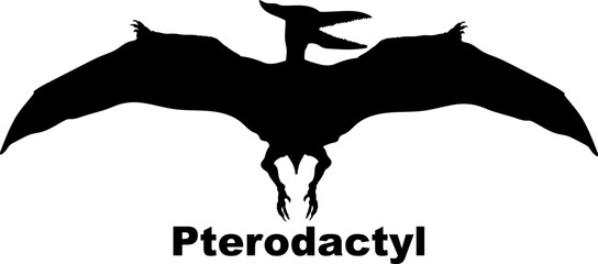 Pterodactyl Dinosaur Silhouette. Dinosaur name breeds SVG Types of dinosaurs  © Pony 3000