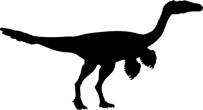 Troodon Dinosaur Silhouette.  Dinosaur SVG Types of dinosaurs
