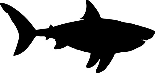 Megalodon Dinosaur Silhouette.  Dinosaur SVG Types of dinosaurs
