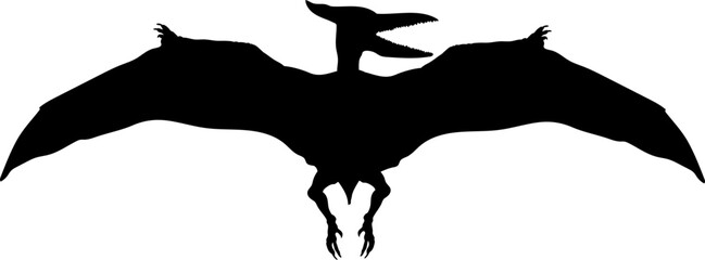 Pterodactyl Dinosaur Silhouette.  Dinosaur SVG Types of dinosaurs  © Pony 3000