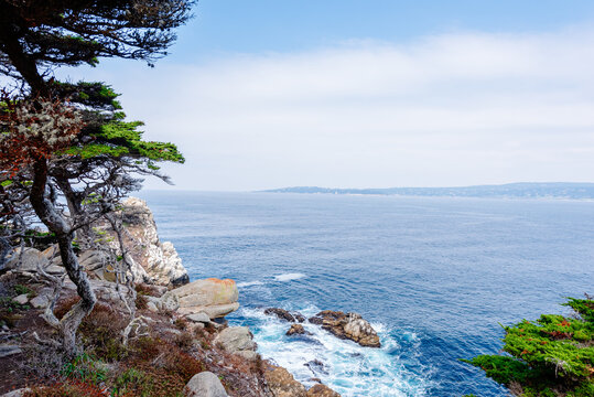 Point Lobos, California