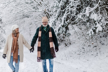 Elegant senior couple walking in the snowy park, during cold winter snowy day.