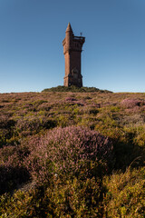 Amaizing Airlie monument in Scotland. Lovely and quiet place to be surrounded by briar