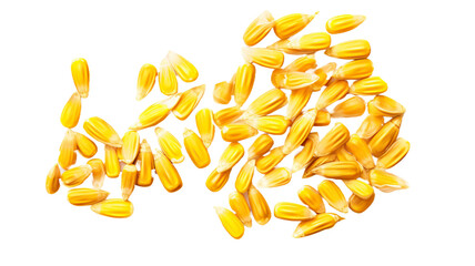 Corn seeds isolated on transparent or white background