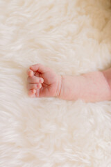 Adorable chunky newborn arm and hand curled up showing off all the tiny fingernails. 