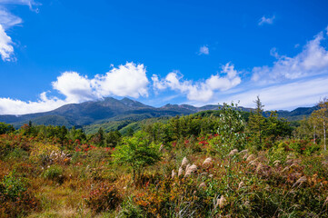 秋晴れの一ノ瀬園地からの乗鞍岳