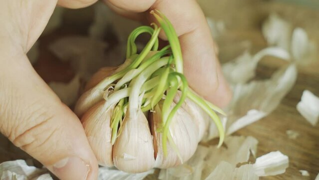 Place a head of garlic on the kitchen board. Close-up.