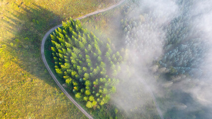Baumgruppe am Wegesrand Luftbild bei Frühnebel - 656012046