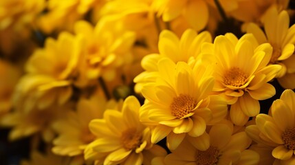 Botanical Elegance: Macro Yellow Flower Photography Wallpaper