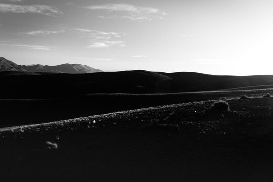 horizonte byn
