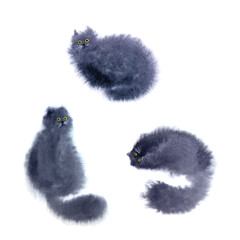 Fototapeta premium Set of 3 hand drawn watercolor cats. Cute fluffy black watercolor cats.