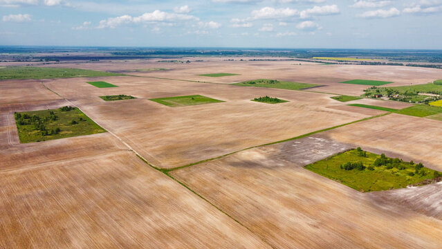 Extensive, plowed agricultural fields, aerial view. Small green groves among arable fields.
