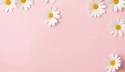 Foto op Plexiglas Concept with a minimal look. White chamomile daisy flowers on a light pink background. Spring, summer, and creative lifestyle concept. Copy space for text, advertising, message, logo © CFK