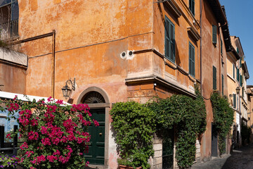Fototapeta na wymiar Orange weathered wall of a charming residential building with vines, creepers and flowers