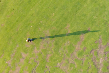 Drone view, top view of a man and long shadow from him on green grass. Golf course, field.