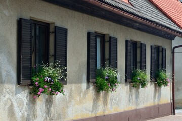 Ventanas con flores en la Aldea de Kostanjevica na Krki en Eslovenia © BestTravelPhoto