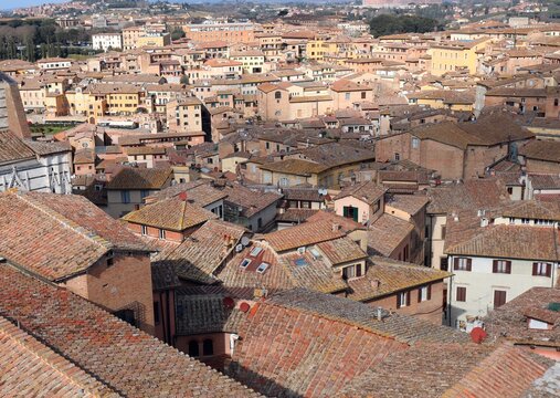 Tweety birds with terracotta tiles seen from above in a city in Italy