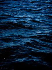 Dark blue water surface.