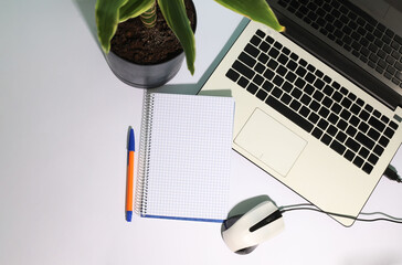 on a white background, a white laptop, a white computer mouse, a notepad, pens and a homemade green flower in a pot