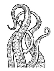 Tentacles of octopus, hand drawn collection of illustrations. Black and white engraving style drawings. Tentacle straight and with rings in different angles.  © Very Well Studio