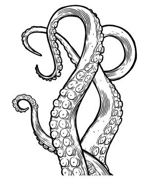 Tentacles of octopus, hand drawn collection of illustrations. Black and white engraving style drawings. Tentacle straight and with rings in different angles.	