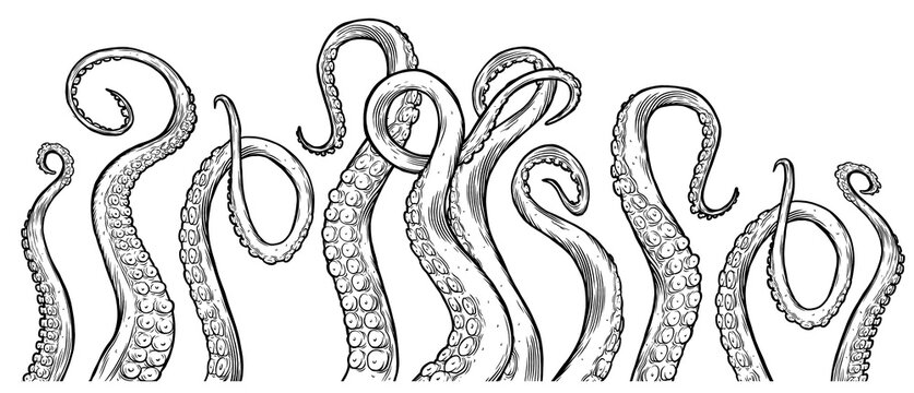 Tentacles of octopus, hand drawn collection of illustrations. Black and white engraving style drawings. Tentacle straight and with rings in different angles.	
