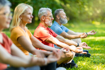 Group Meditation. Diverse Sporty Senior People Meditating Together Outdoors