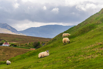 isle of skye, scotland, spring landscape
