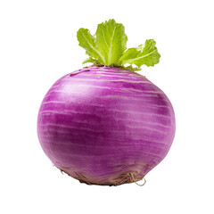 Fresh Rutabaga with a Purplish Hue Isolated on White Background
