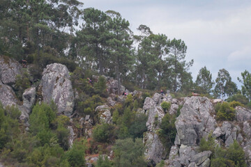 Paisagem da região de Penacova, distrito de Coimbra, Portugal