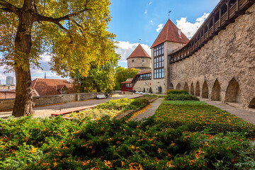 Walls and towers of old Tallinn, Estonia - obrazy, fototapety, plakaty