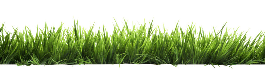 strip of green fresh grass side view, png file of isolated cutout object on transparent background.