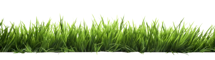 Fotobehang strip of green fresh grass side view, png file of isolated cutout object on transparent background. © Аrtranq
