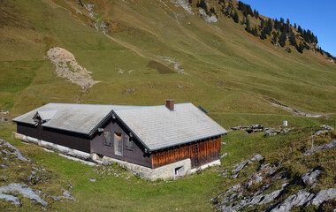 Auf der Alp Gitschenen / Alp Geissboden im Isental, Kanton Uri, Schweiz