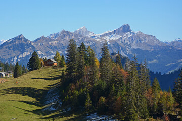 Bergpanorama uf der Alp Gitschenen im Isental, Kanton Uri, Schweiz - obrazy, fototapety, plakaty