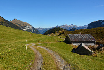 Fototapeta na wymiar Auf der Alp Gitschenen / Alp Geissboden im Isental, Kanton Uri, Schweiz