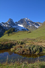 Auf der Alp Gitschenen im Grosstal (Isenthal), Kanton Uri, mit Blick auf Maisander und Hoh Briden