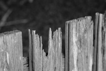Broken Wooden Fence Panel in Black and White - obrazy, fototapety, plakaty