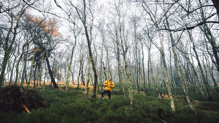 Young man with yellow winter jacket and hat, stands in birch beautifull forest with grass, during cold cloudy autumn day, Decin, Czech republic