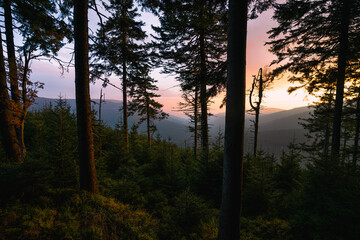View from black coniferous forest on hills. Colorful sunset during spring in Jeseniky, Czech republic