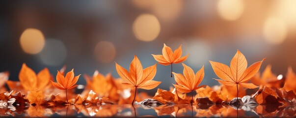 Naklejka na ściany i meble Colorful universal natural panoramic autumn background for design with orange leaves and blurred background | Generative AI