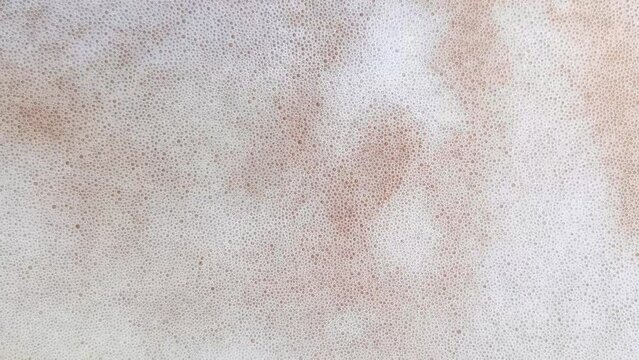 Yeast fermented as a background, Closeup fermentation process of yeast. Carbon dioxide is visible during the fermentation process in the form of bubbles in the must.