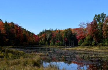Lake Sommet along the bicycle trail in the Laurentian mountains in Autumn colours
