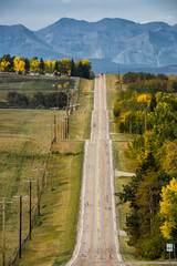 Rural road lined with telephone poles and autumn trees in fall colours with Canadian Rocky Mountains at background in Rocky View County Alberta Canada.