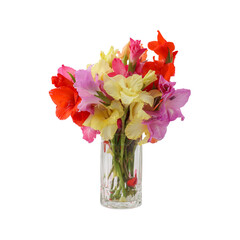 Bouquet of gladiolus flowers isolated on transparent background