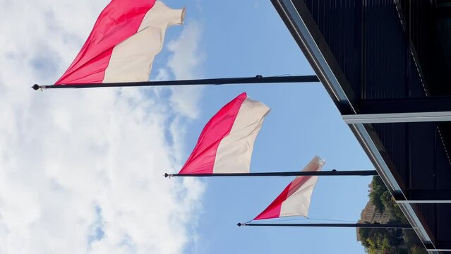 Flags of principality of Monaco in the wind at sunny weather, the port of Hercules